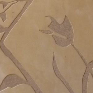 Françoise Lacombe-Bonnet, chaux, décor, sgraffito, stuc